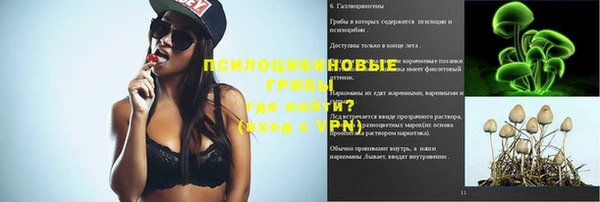 таблы Ельня