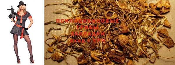 таблы Ельня