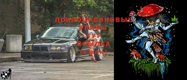 стаф Приозерск