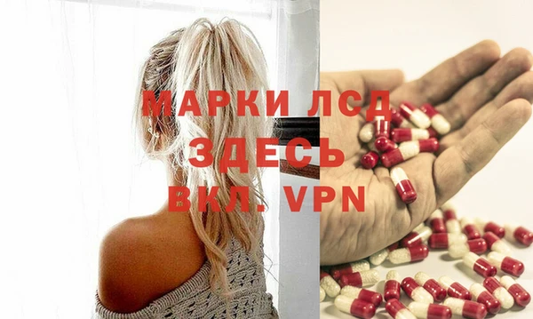 MESCALINE Елизово