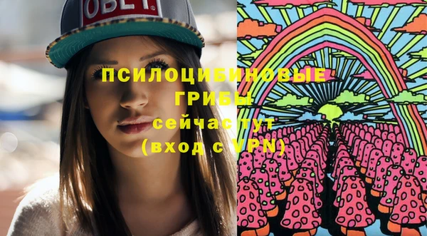 таблы Ельня