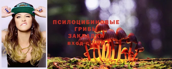 таблы Ельня