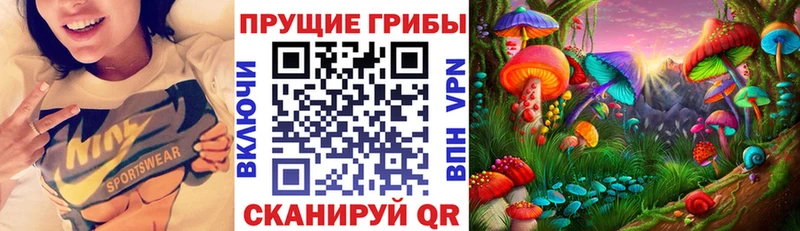 дарнет шоп  Пущино  Галлюциногенные грибы MAGIC MUSHROOMS 