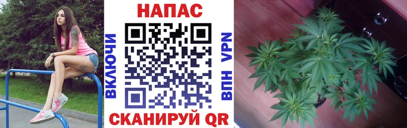продажа наркотиков  Пущино  Шишки марихуана AK-47 