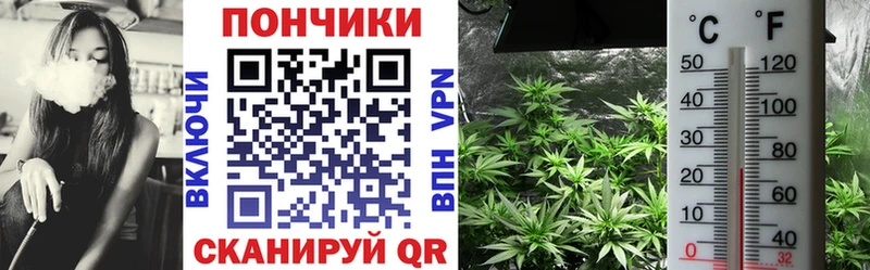Бошки Шишки ГИДРОПОН Пущино